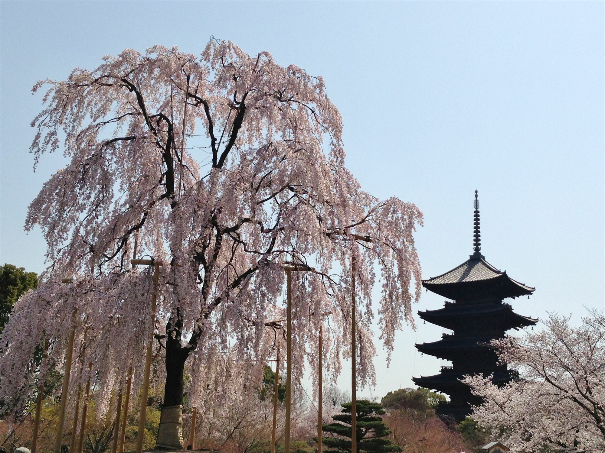 Hotel Livemax Kyoto Gojo Bagian luar foto